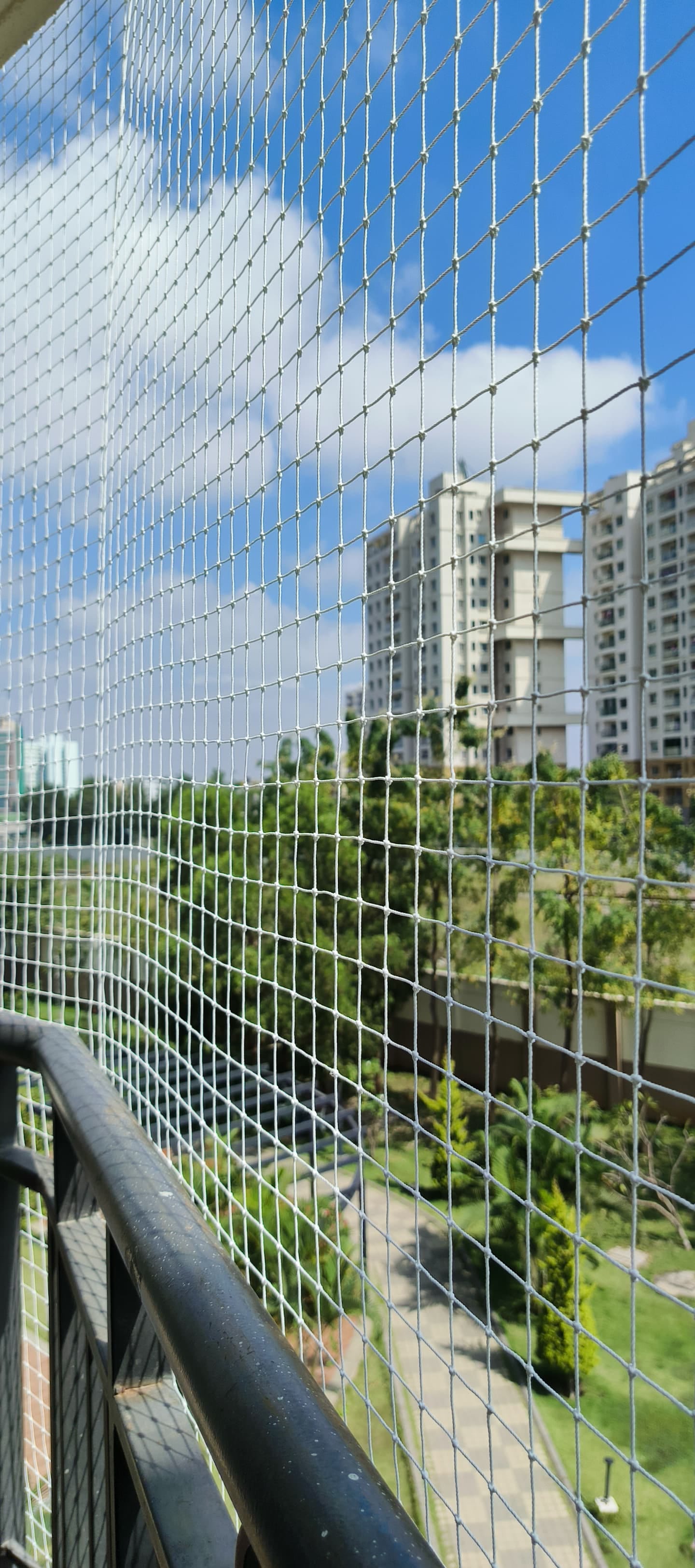 Pigeon Control — real project photo