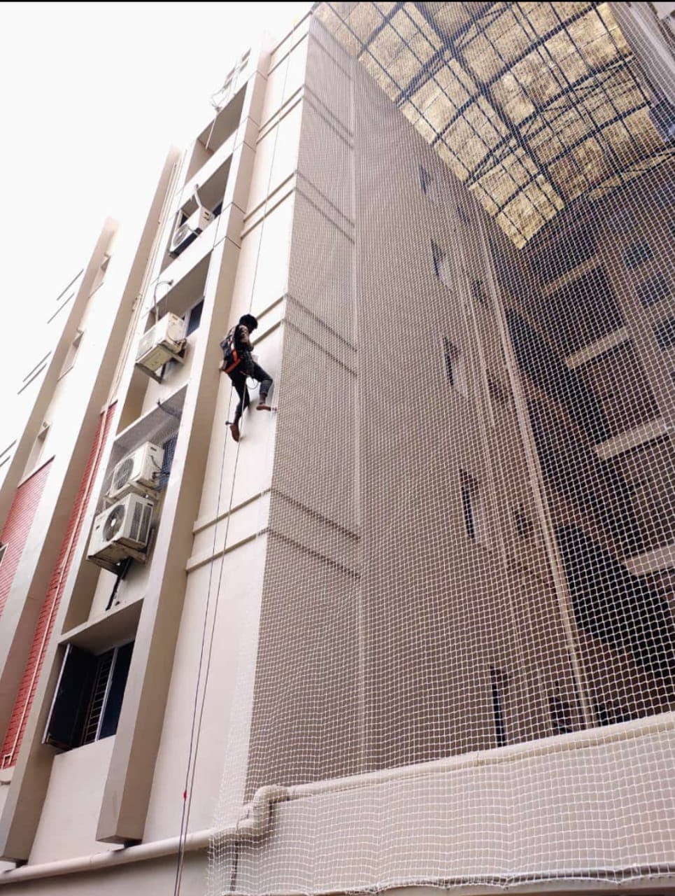 Pigeon Nets in Bengaluru