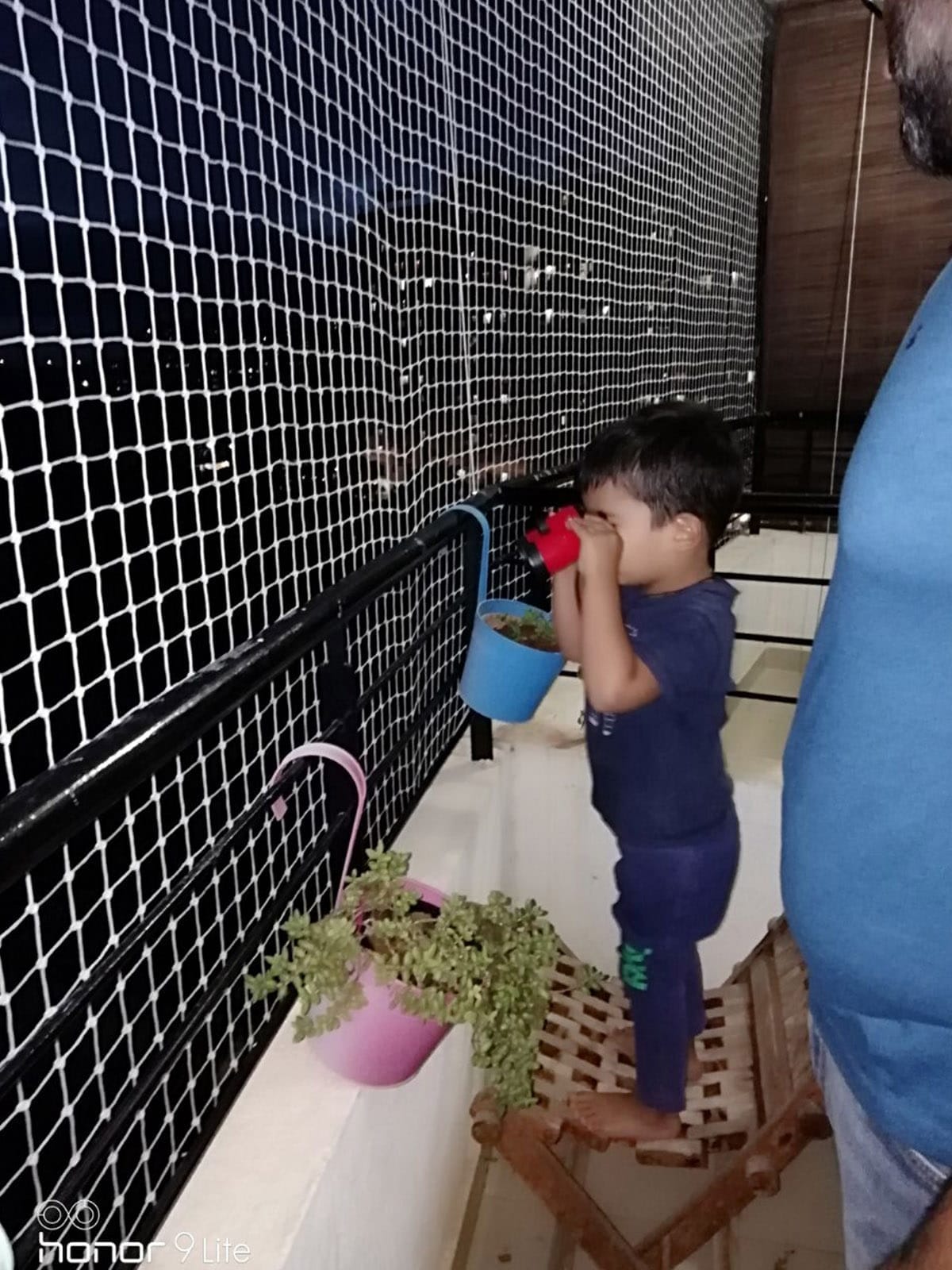 Safety Nets – affordable protection that blends in