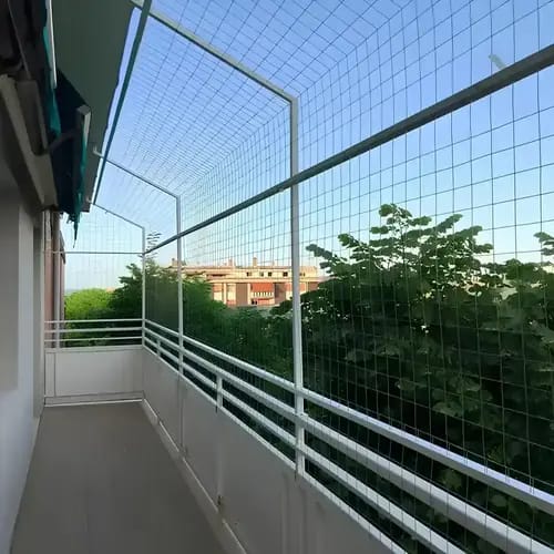 Bird Nets installation — real project photo