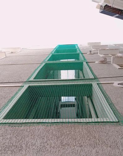 Pigeon Nets installation — real project photo